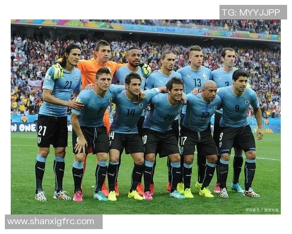 埃及与乌拉圭足球阵容对比分析揭示两队实力差异与战术特点