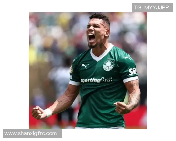 博塔弗戈与巴西红牛激战正酣谁能在赛场上笑到最后