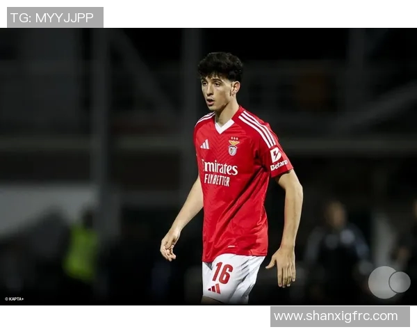 斯特堡对决日尔曼精彩赛事回顾与分析揭示双方战术博弈与球员表现