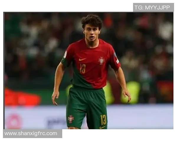 若昂内维斯在足球赛场上的辉煌历程与未来发展展望